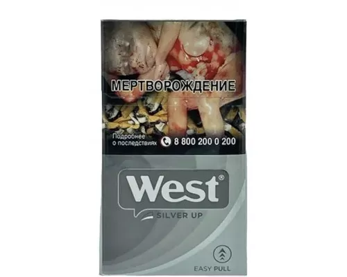 West Compact Silver Up (Вест Компакт Серый)