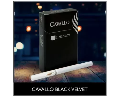 CAVALLO Black Velvet